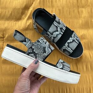 🛍️Vince⚡️Westport Snakeskin Velcro Strap Flatform Platform Leather Sandal 11